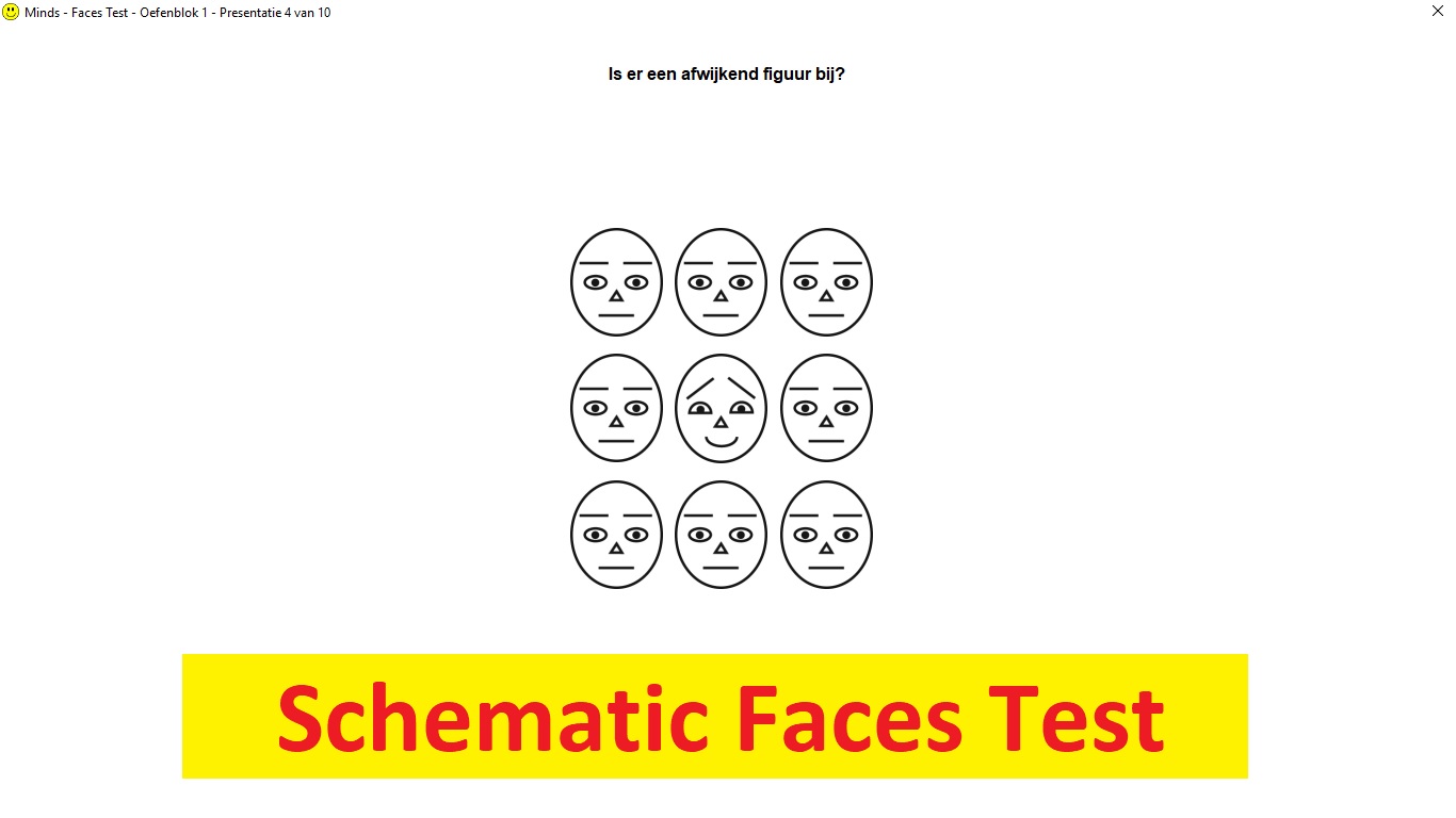 FACES Schematic Faces Test Testmanager MINDS
